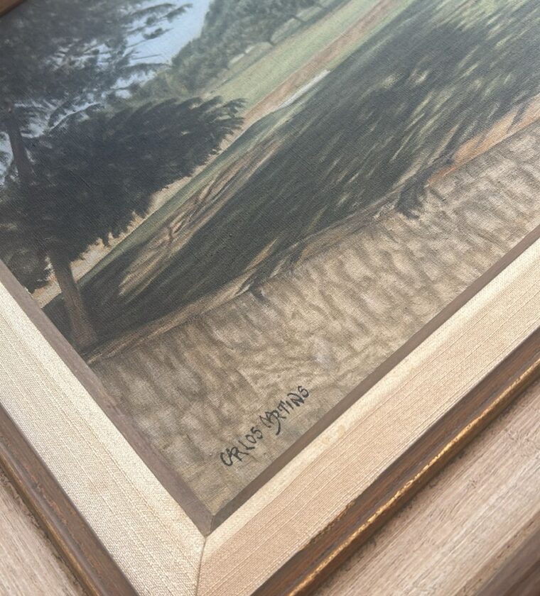 Carlos Martins - Quadro